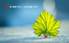 新萝卜家园32位win8.1汉化高效版v2021.12