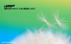 雨林木风win11最新32位内部优质版v2022.10